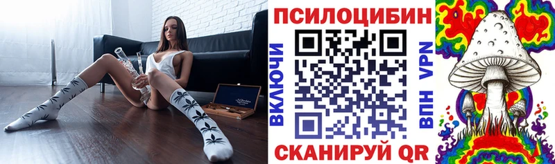 Псилоцибиновые грибы Cubensis  Купить закладки  Змеиногорск 